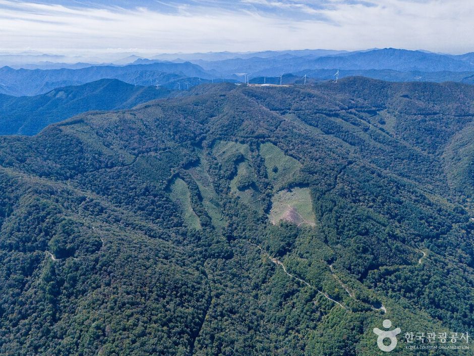 加里王山