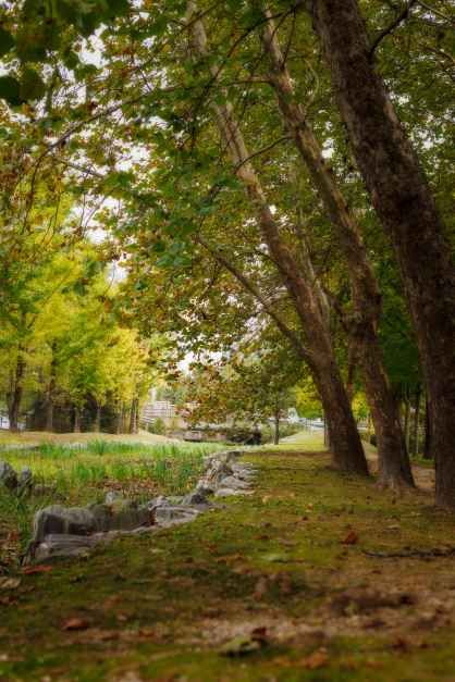 카페79 장소 이미지