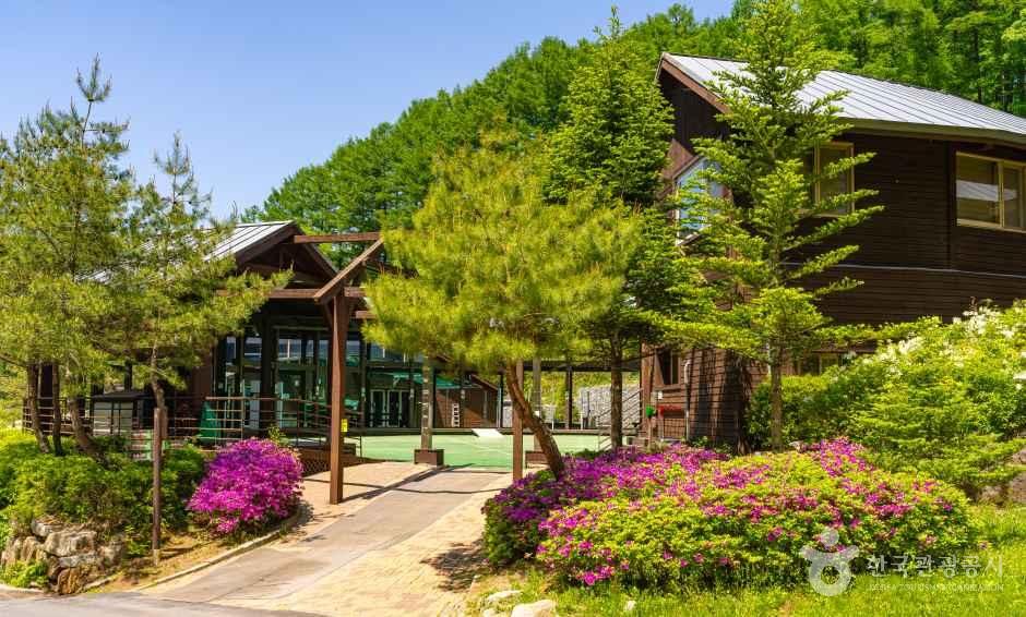 국립횡성숲체원