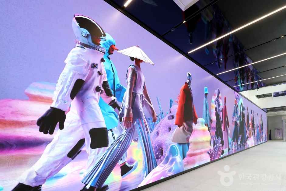 하이커 그라운드 관광사진