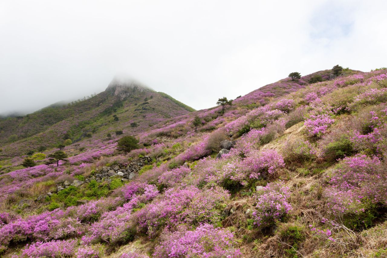 황매산 관광사진