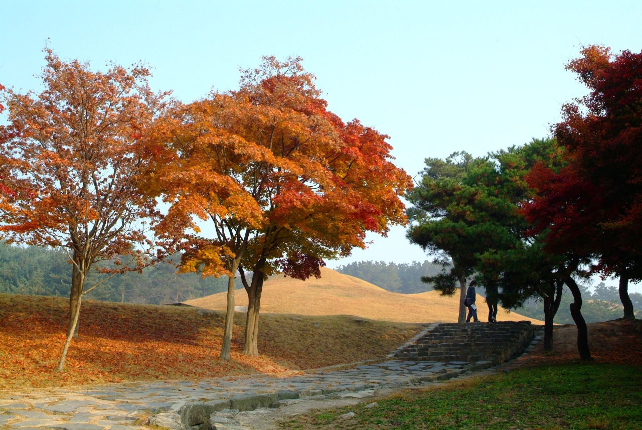 공주 무령왕릉과 왕릉원