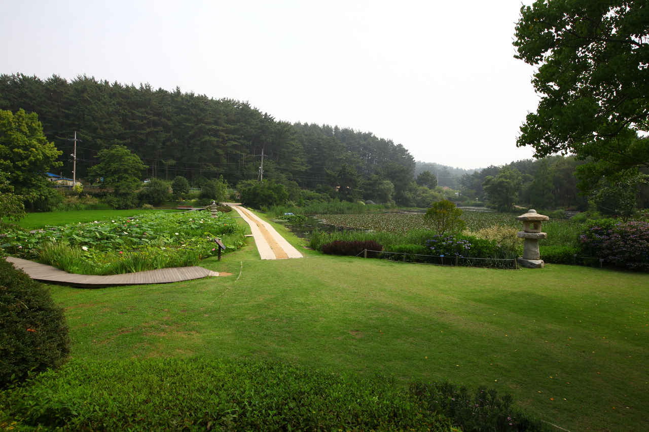 천리포수목원