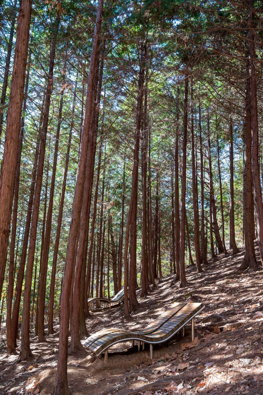 천마산 편백산림욕장 관광사진