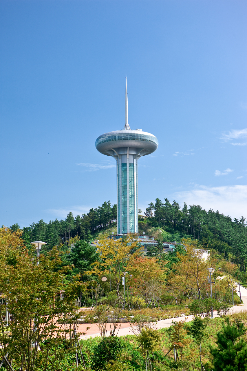 완도타워 - 완도군 여행