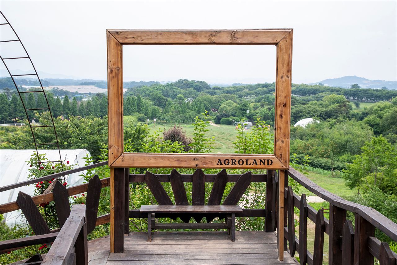 아그로랜드 태신목장