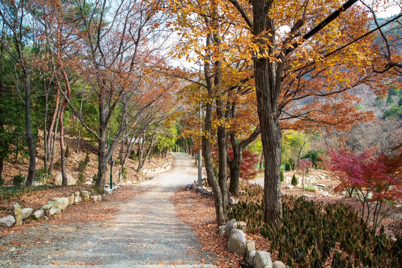 울산수목원 관광사진