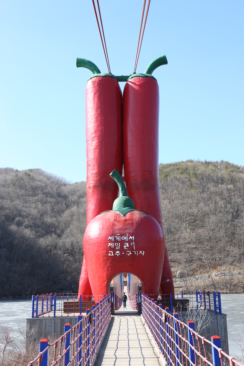 천장호