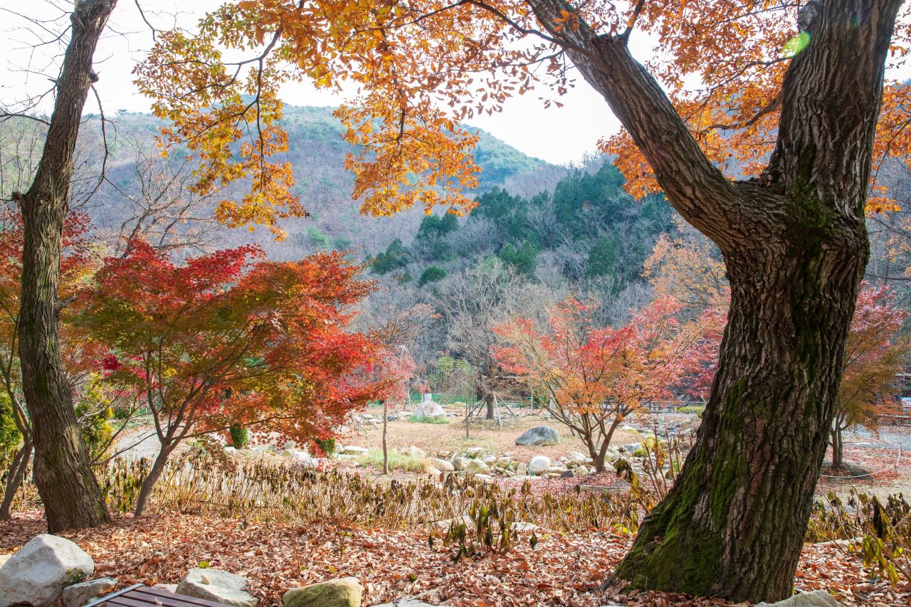 울산수목원 관광사진