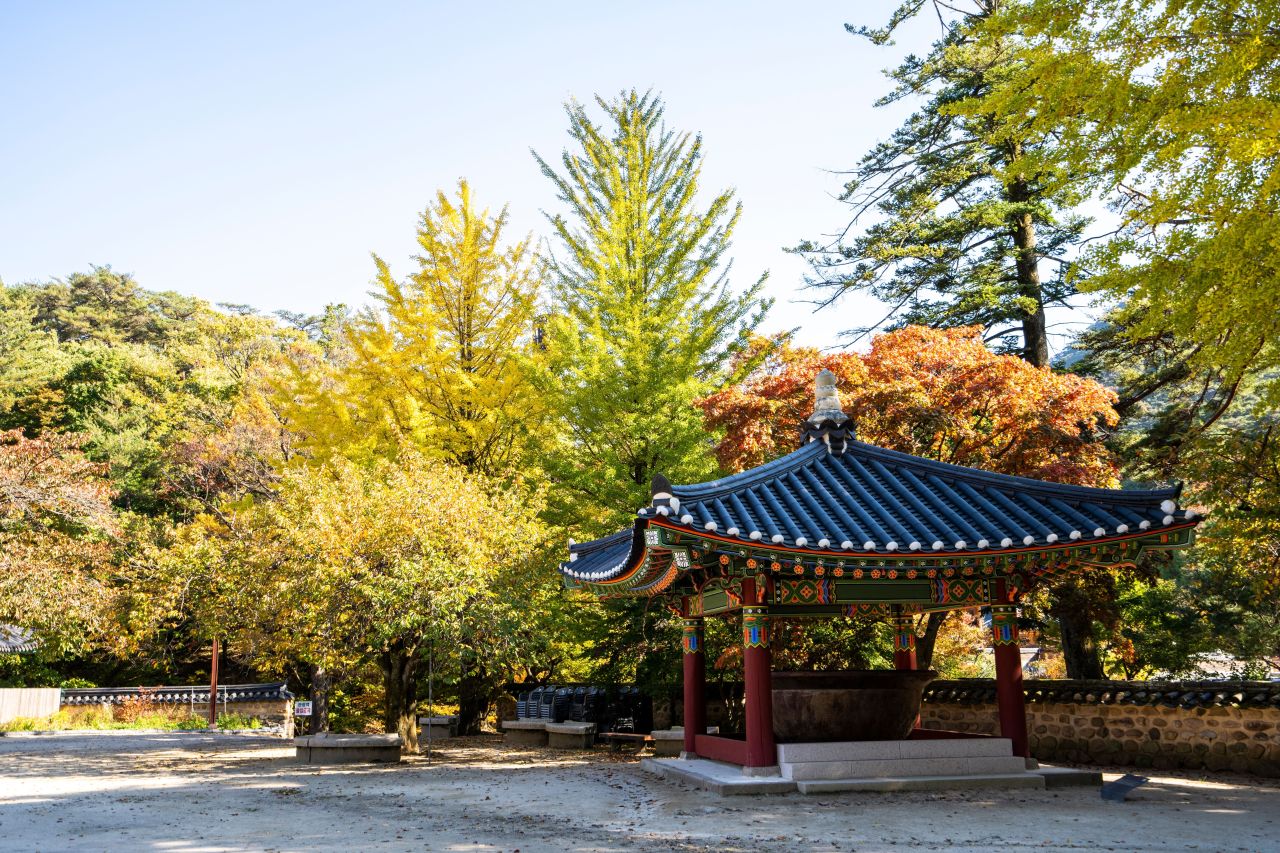보은 법주사 관광사진