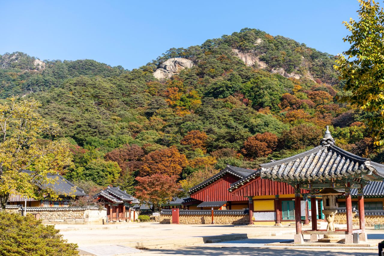 보은 법주사 관광사진