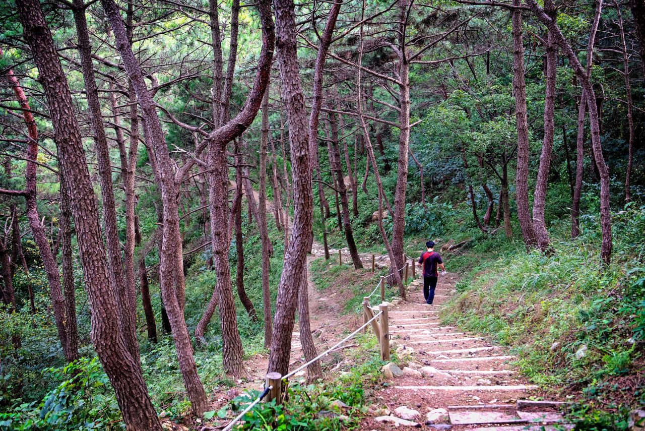 황령산 관광사진