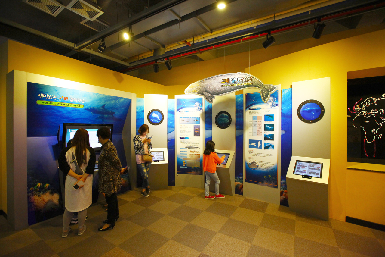 Jangsaengpo Whale Culture Village ์ฅ์ํฌ๊ณ ๋๋ฐ๋ฌผ๊ด