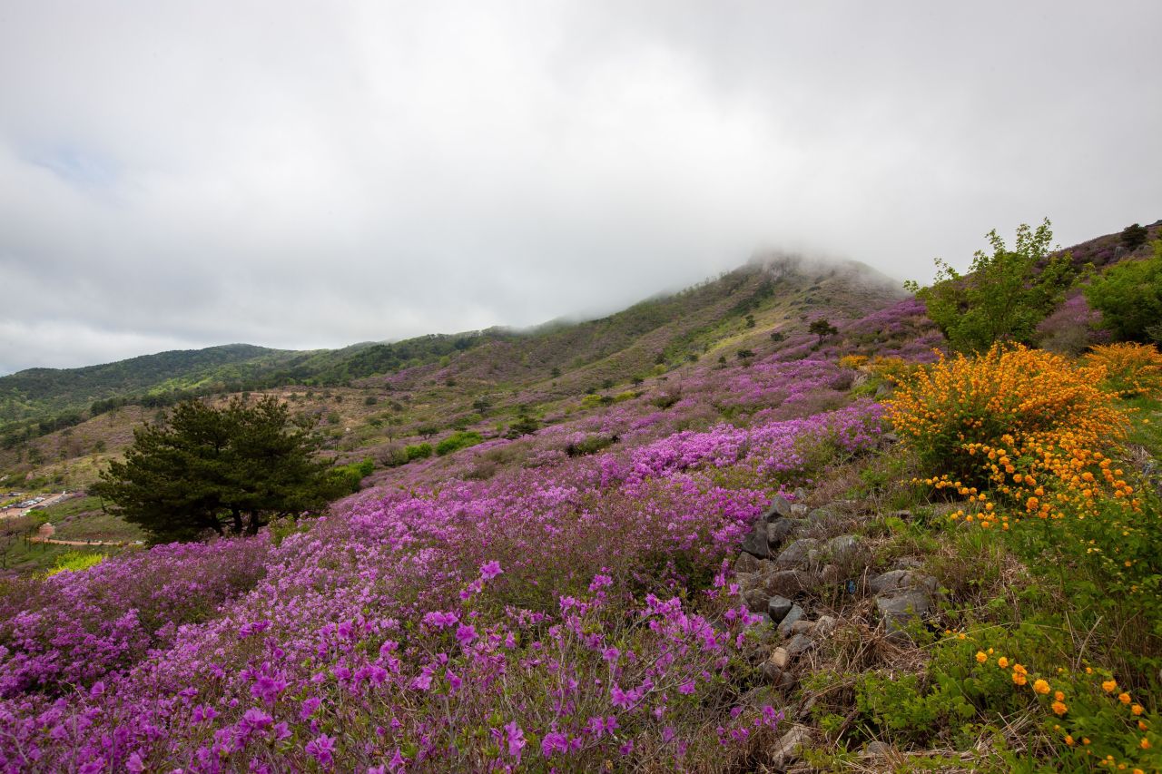 황매산 관광사진