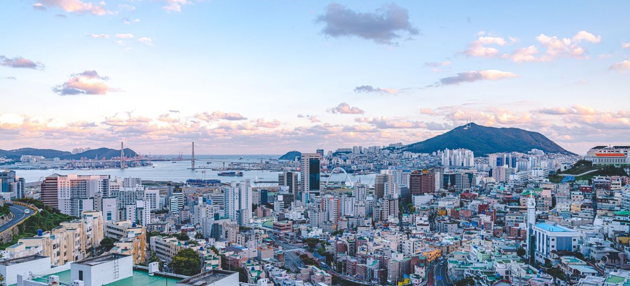 심야카페투어 관광사진