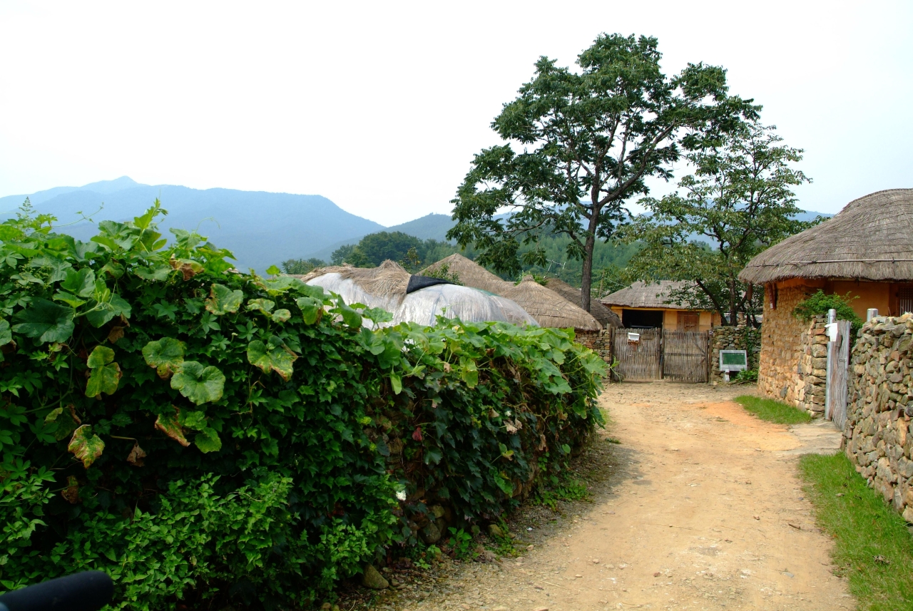 Thatched village lanes