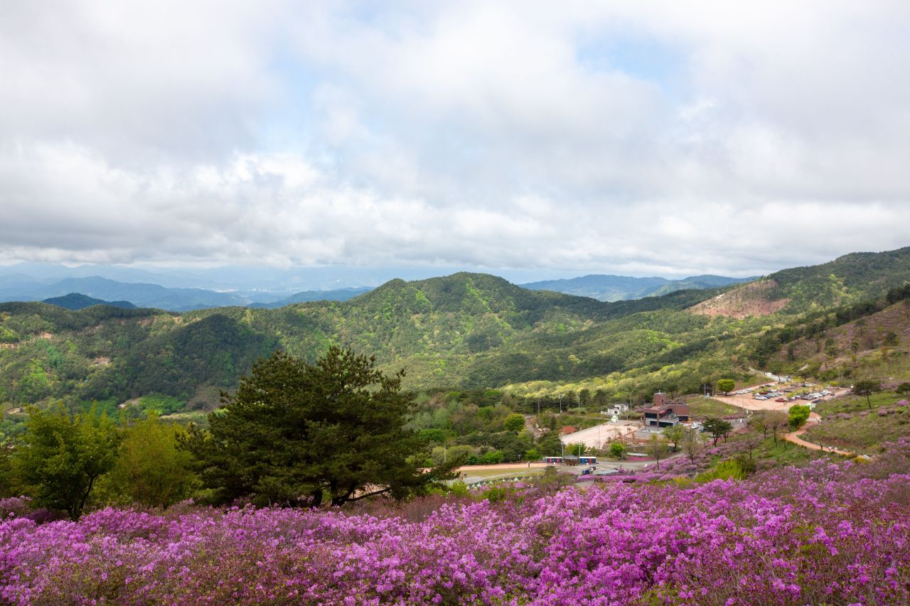 황매산 관광사진