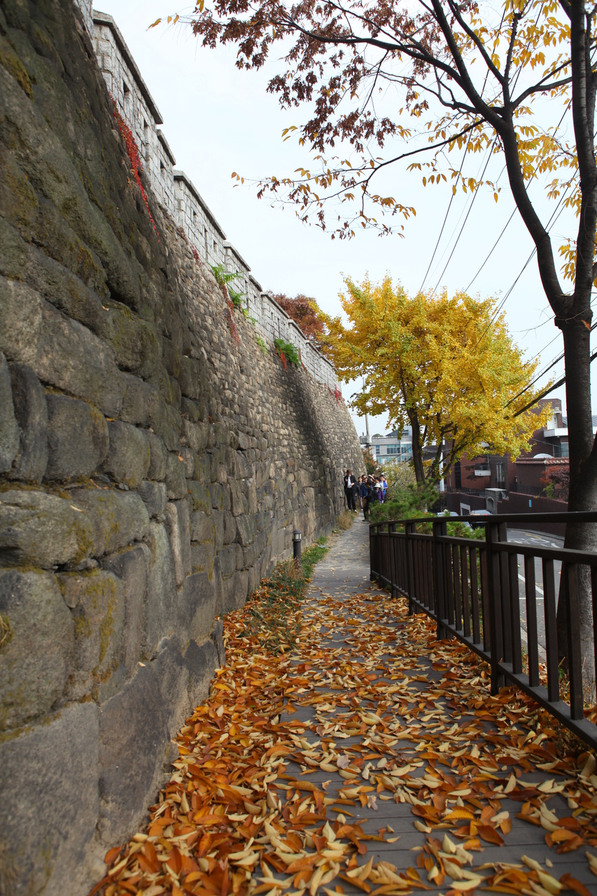 Wall walk
