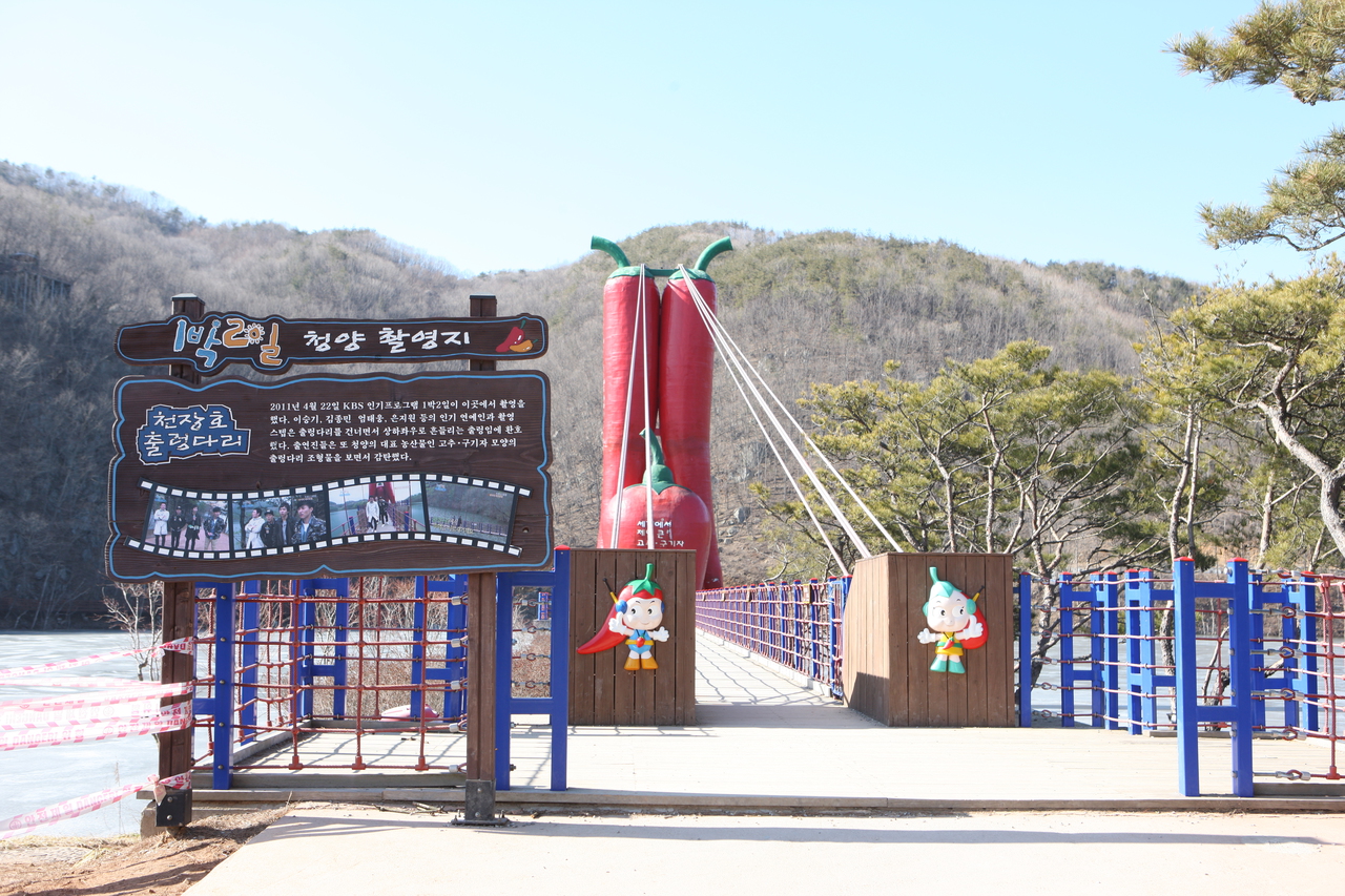 천장호