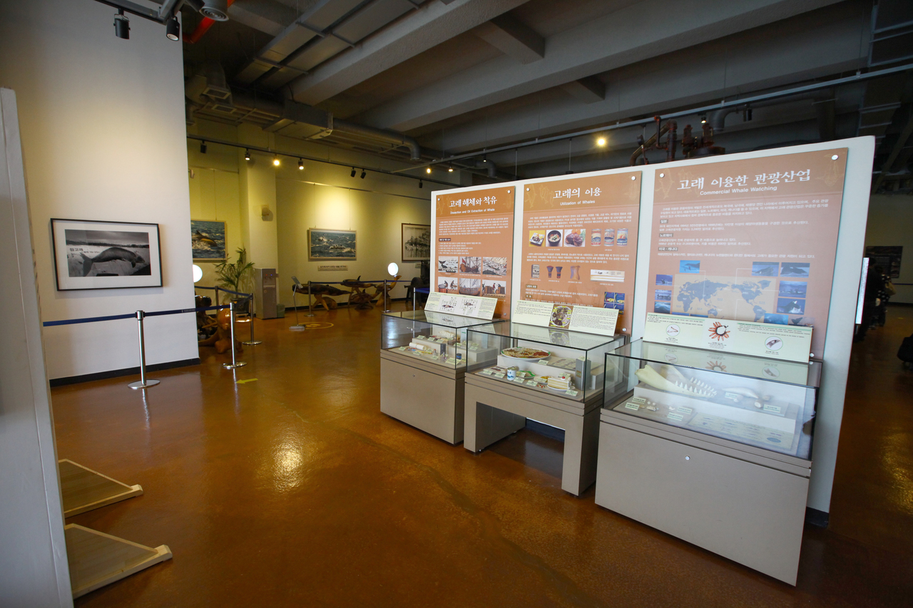 Jangsaengpo Whale Culture Village ์ฅ์ํฌ๊ณ ๋๋ฐ๋ฌผ๊ด
