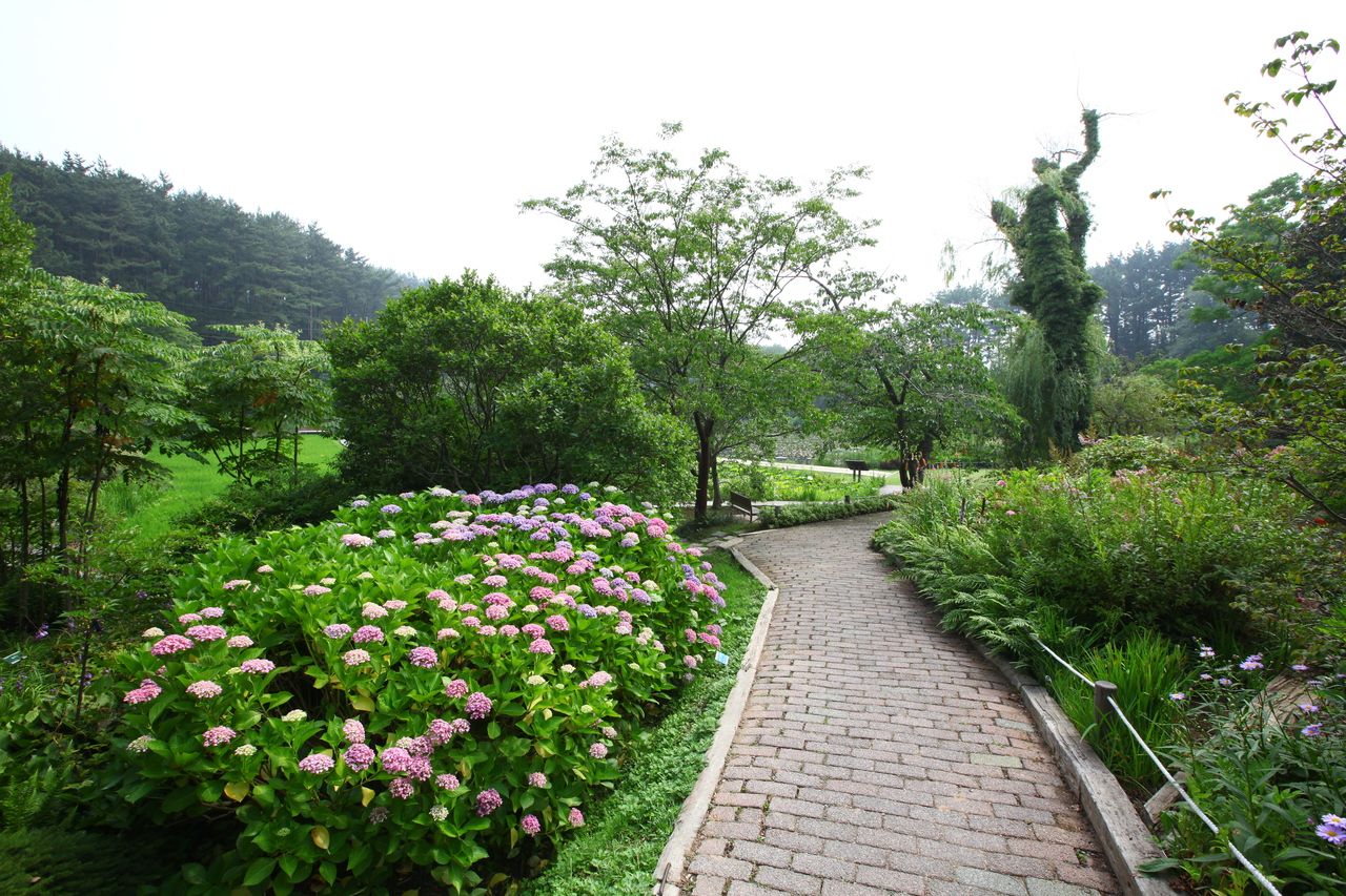 천리포수목원