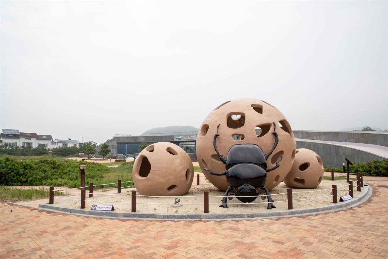 신두리사구센터
