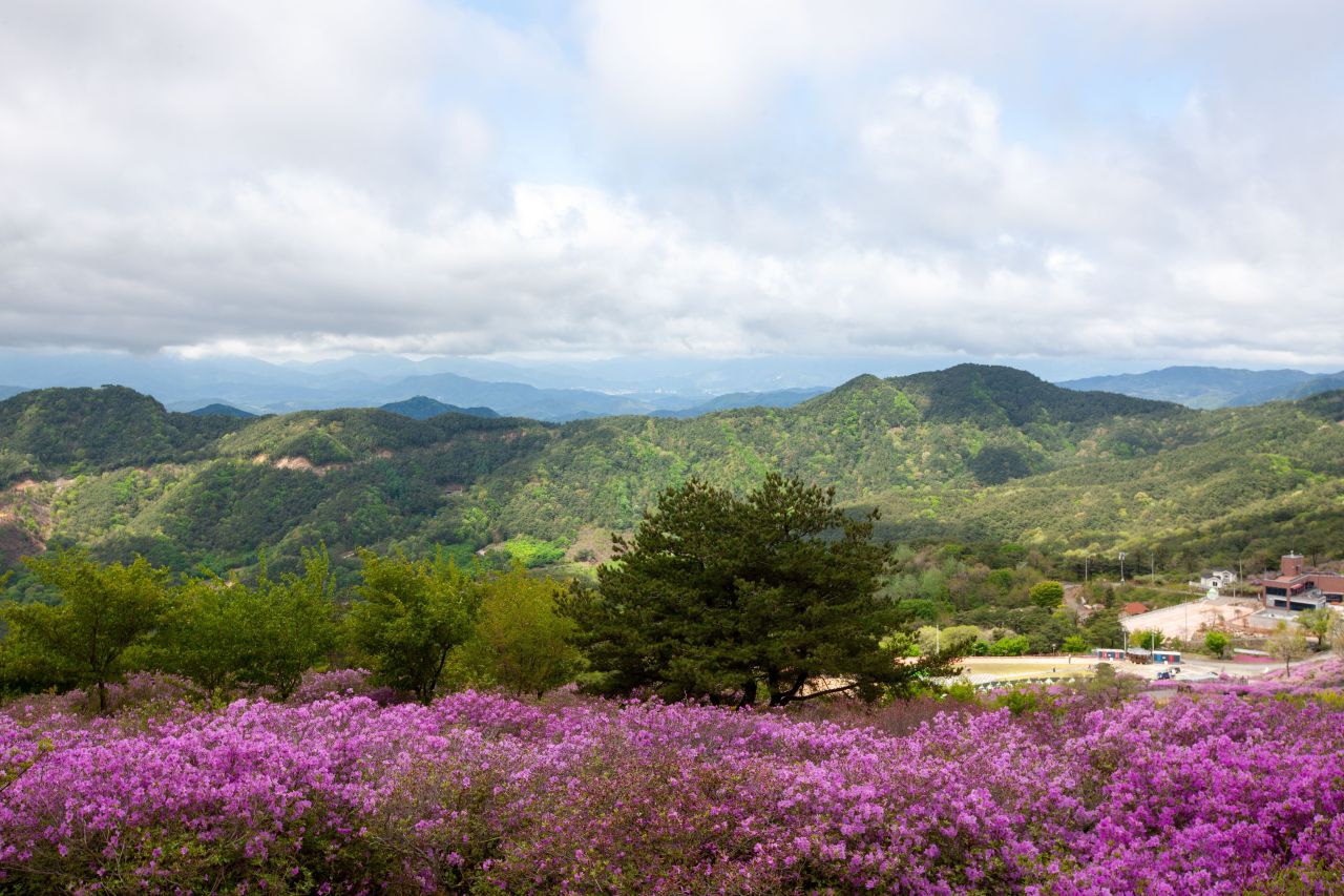 황매산 관광사진