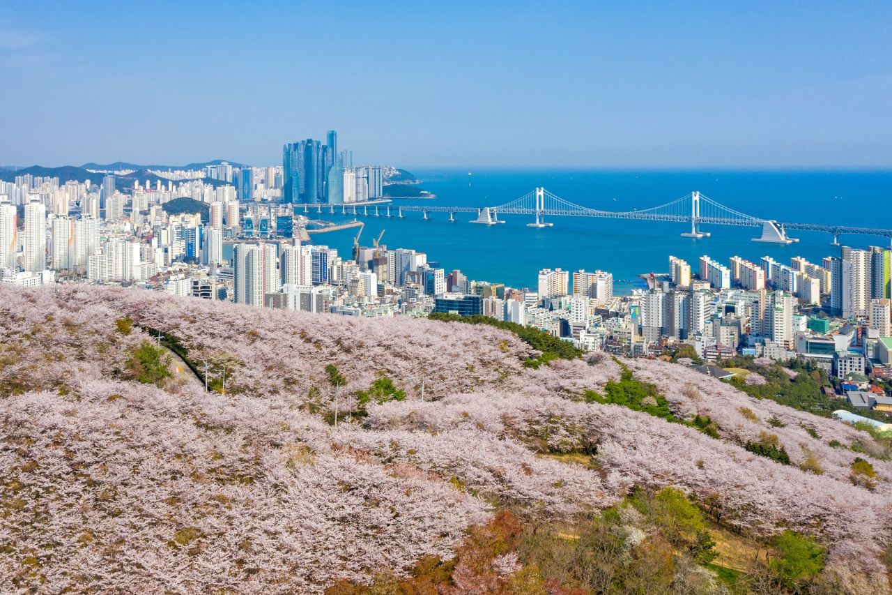 황령산 관광사진