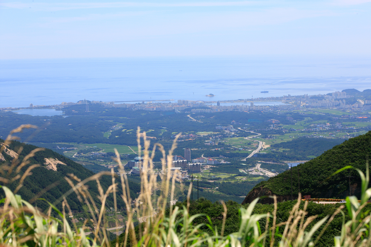 Sokcho Tourist & Fishery Market photo 2
