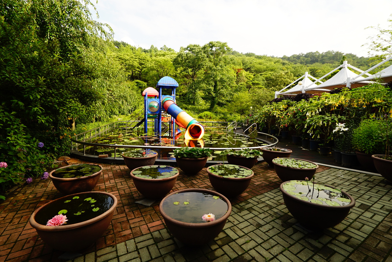 고운식물원