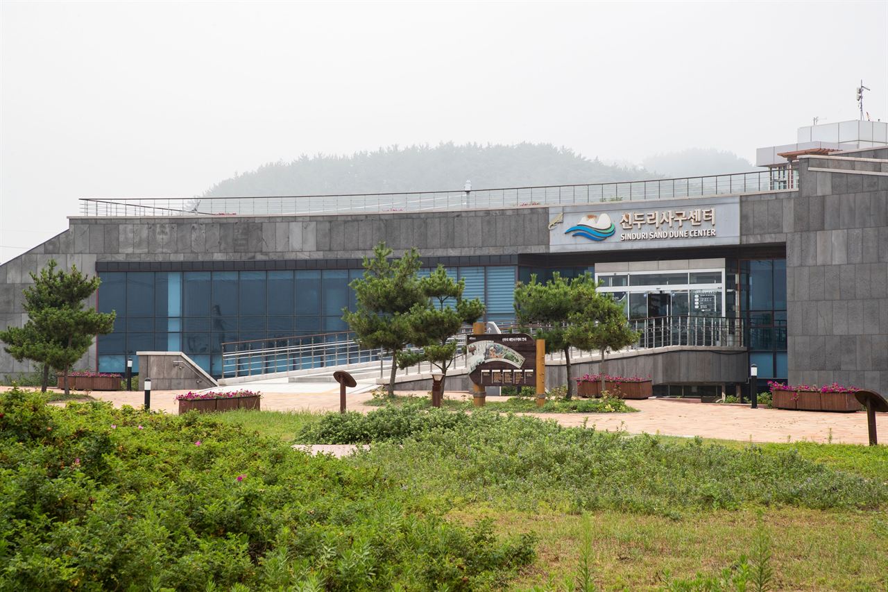 신두리사구센터