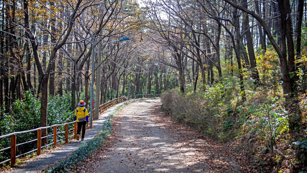 일광산테마길 관광사진