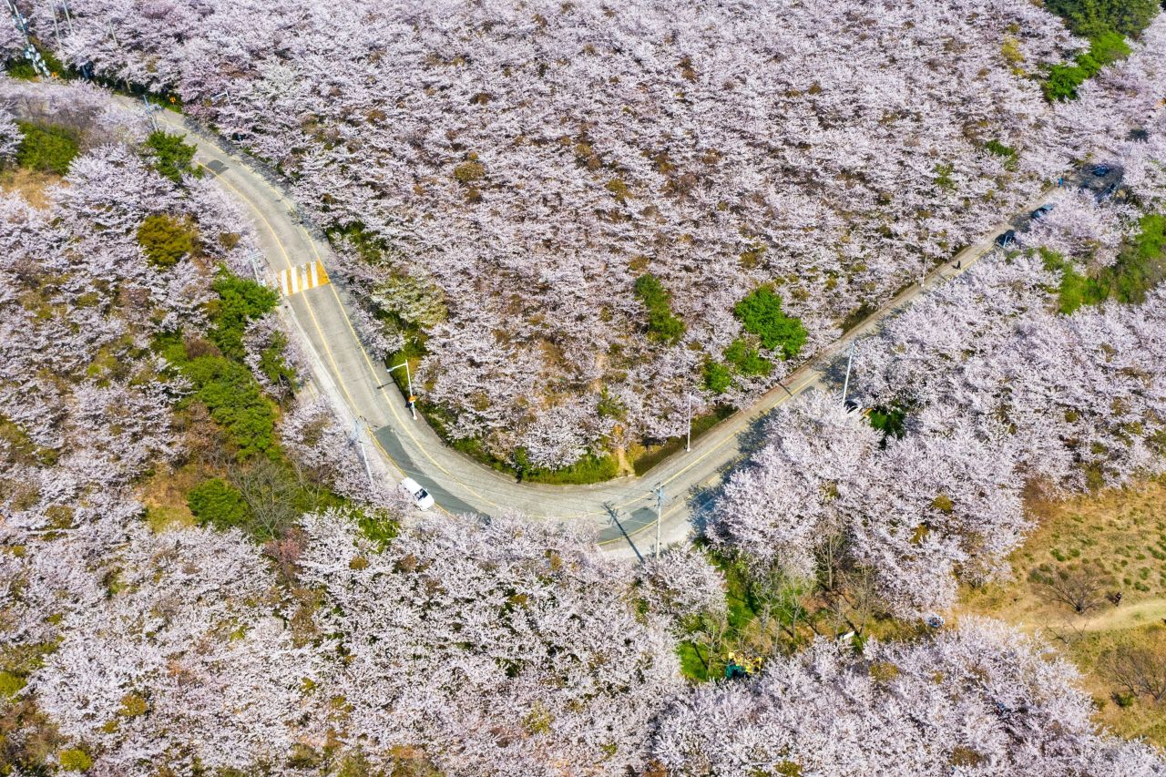 황령산 관광사진