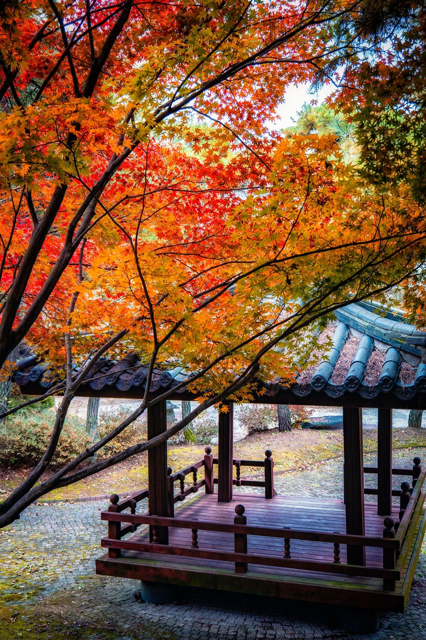 세종 비암사 관광사진