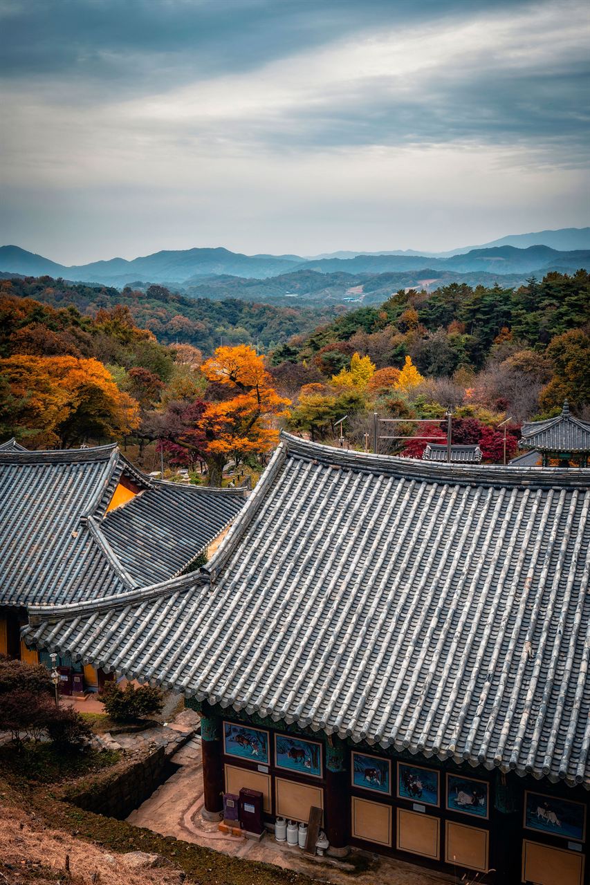 세종 비암사 관광사진