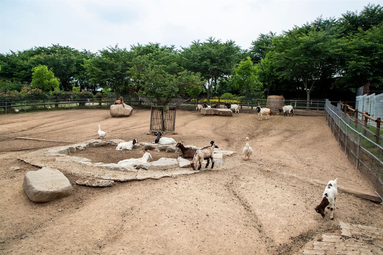 아그로랜드 태신목장