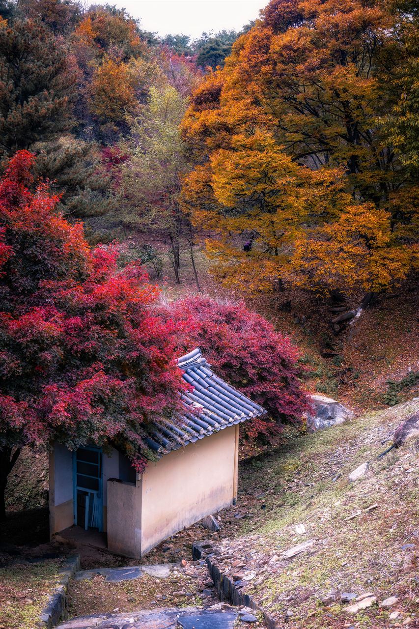 세종 비암사 관광사진