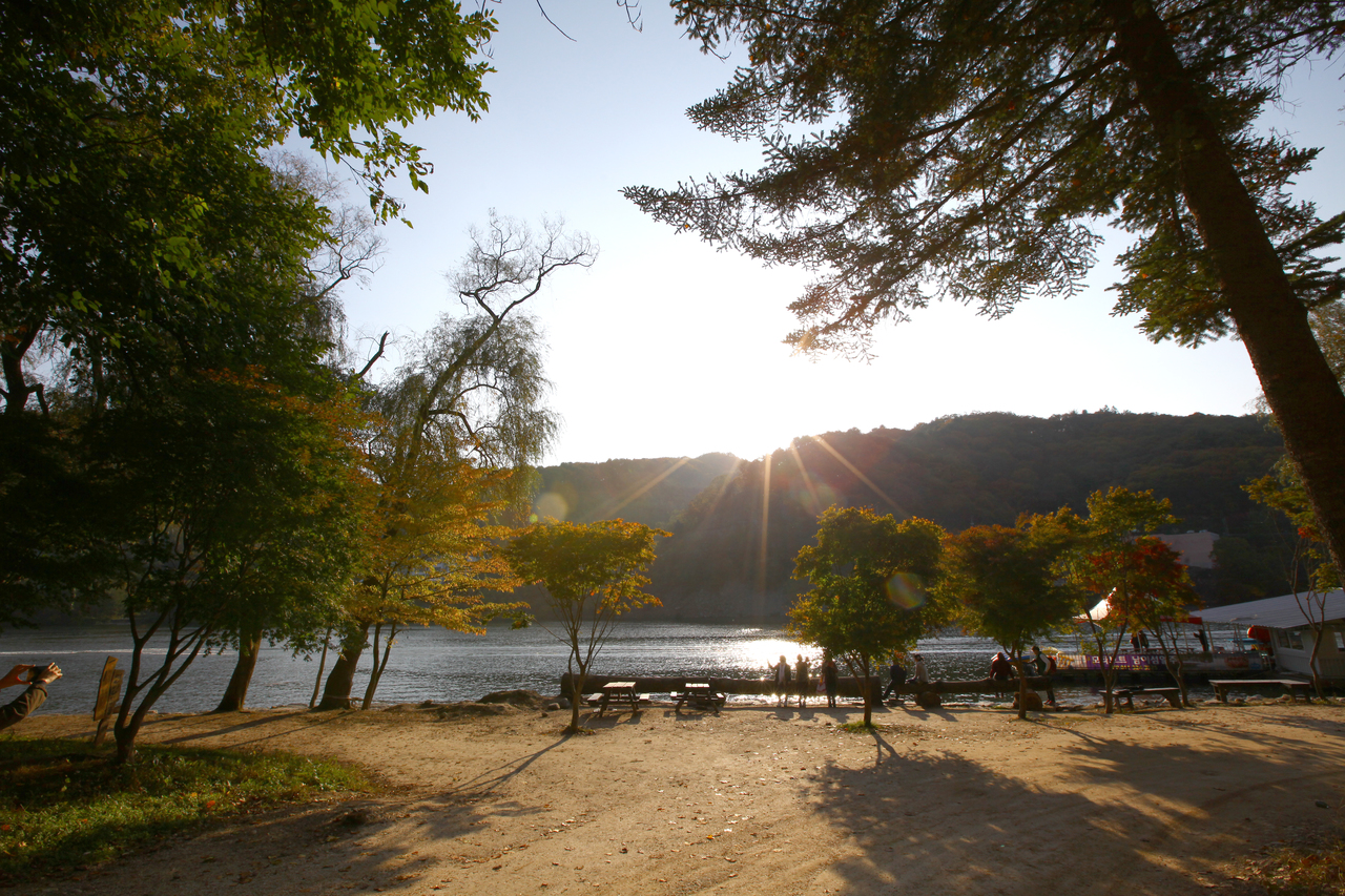 A riverside clearing on Nami Island at sunset, with the water and hills behind the trees