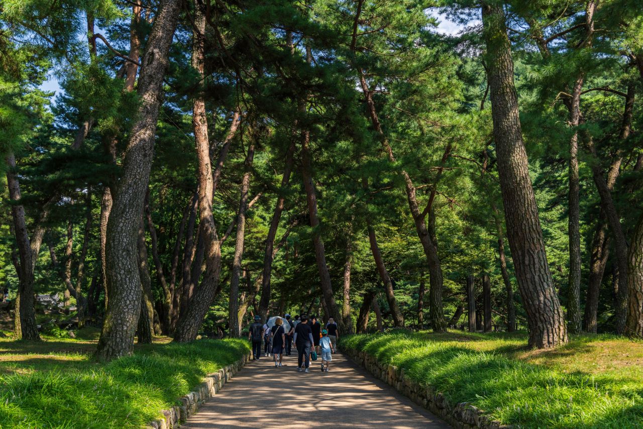 West garden path