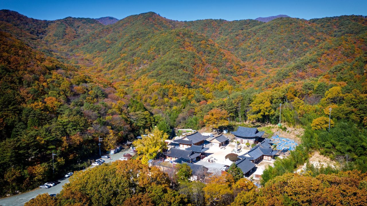 장안사 (2019) - 관광 포토