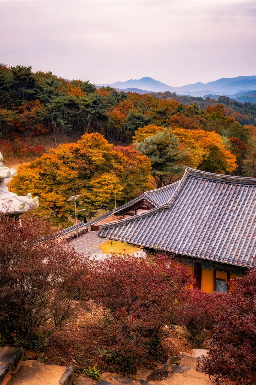 세종 비암사 관광사진