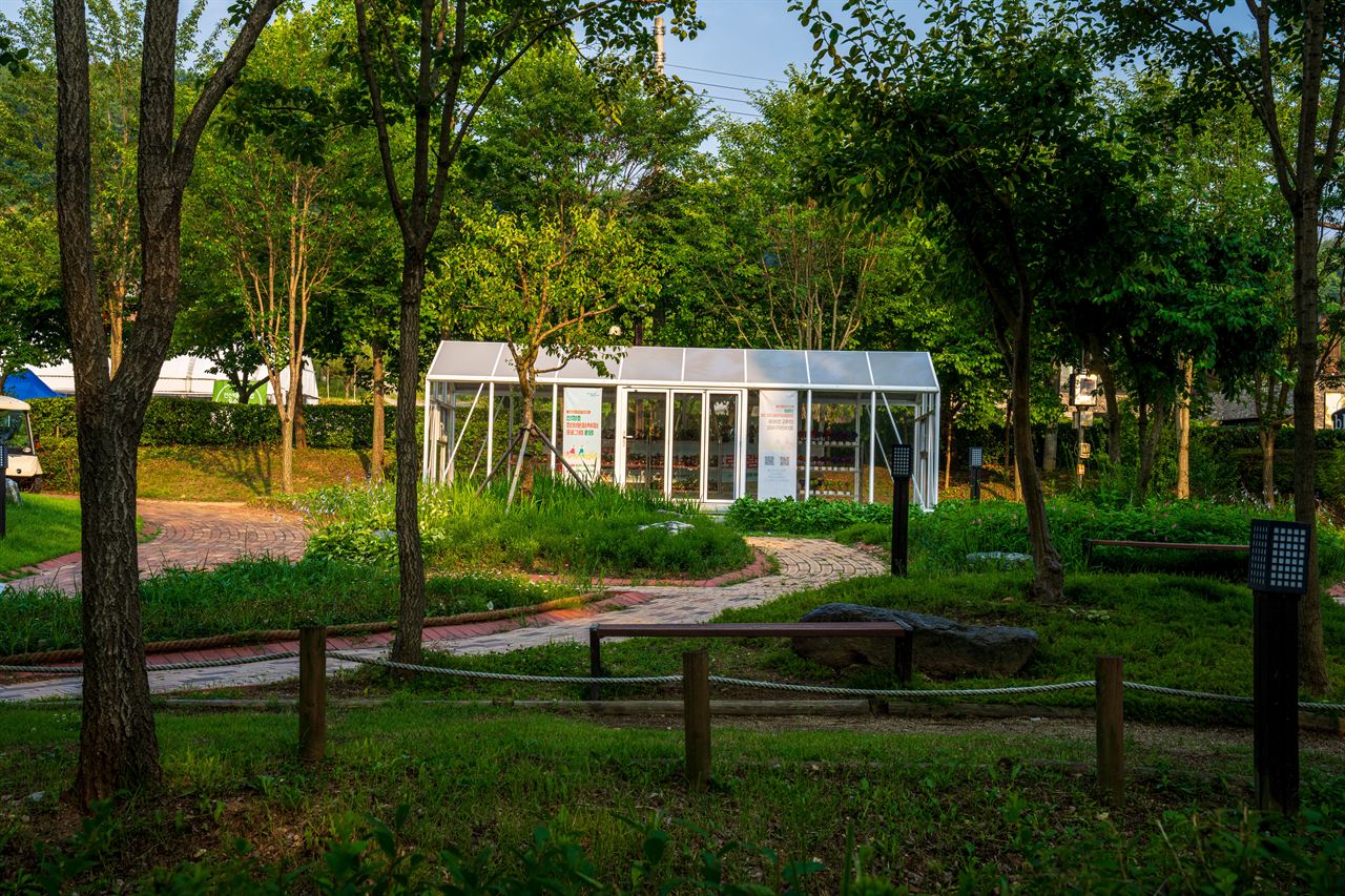 신정호정원