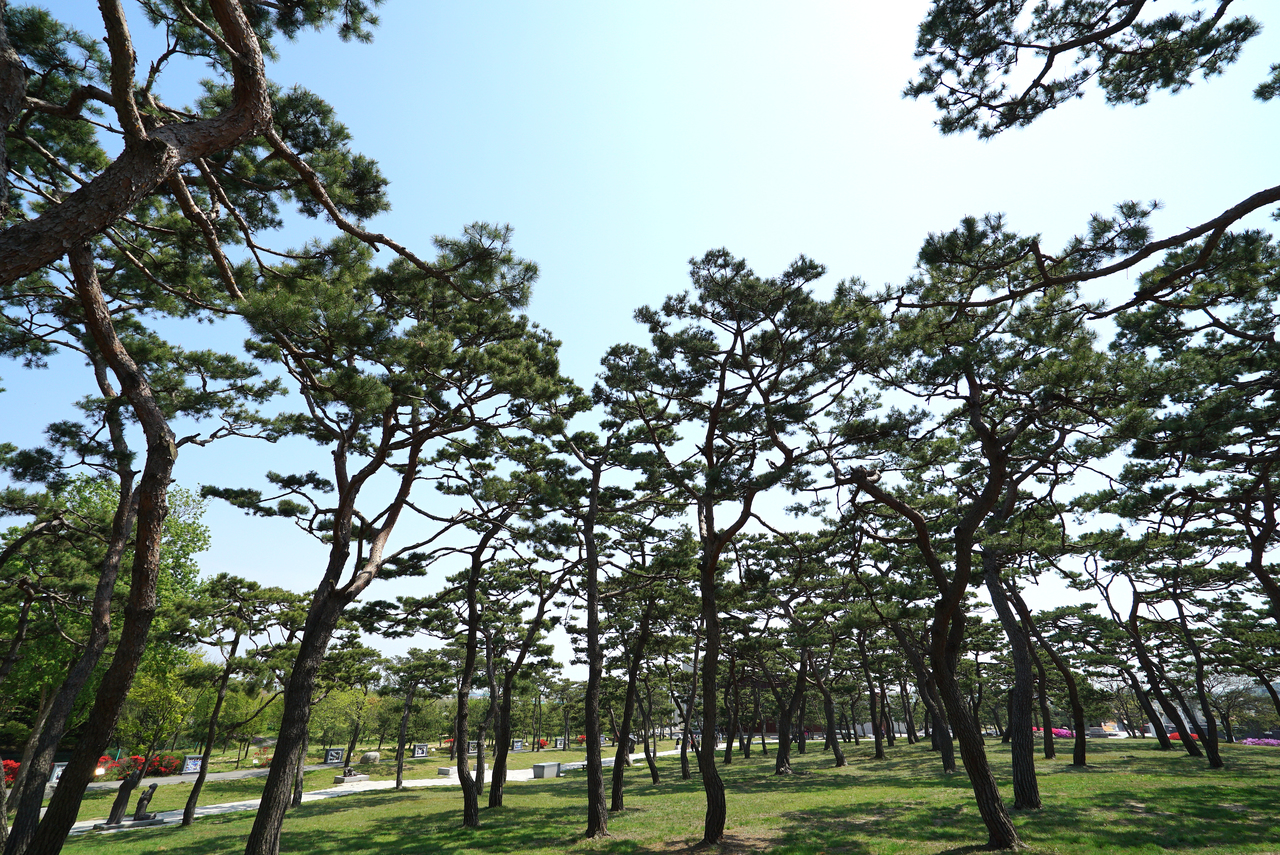 솔뫼성지