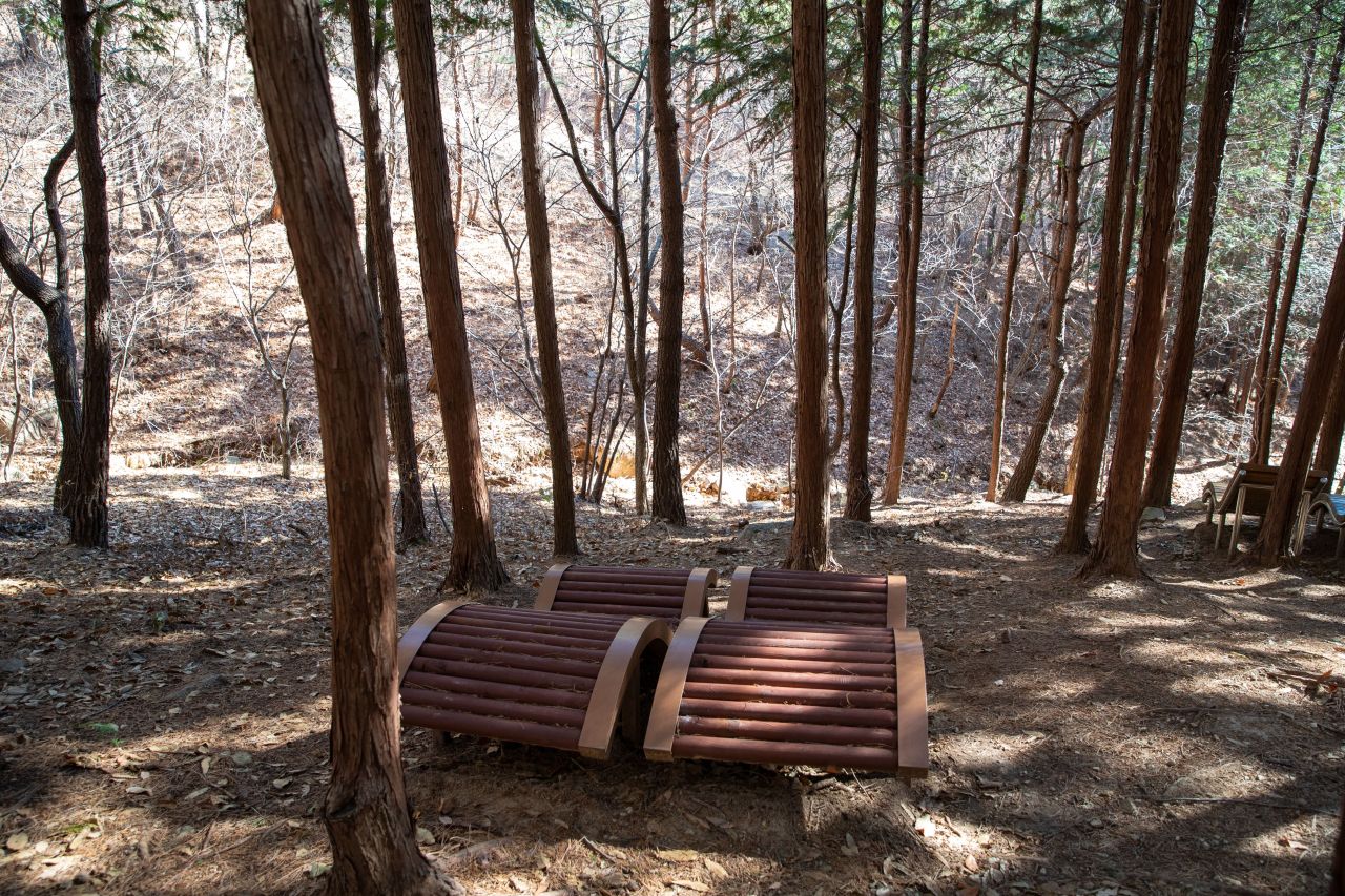 천마산 편백산림욕장 관광사진