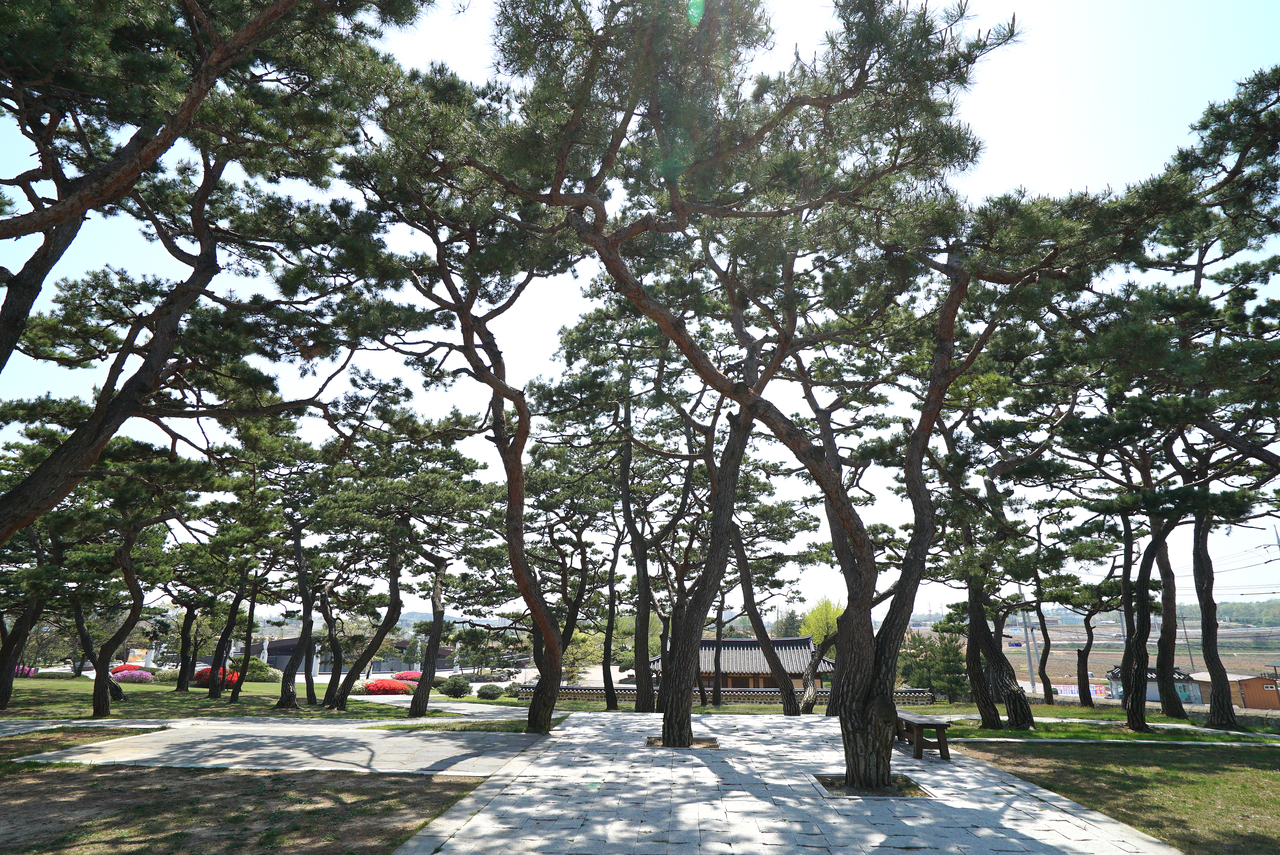 솔뫼성지