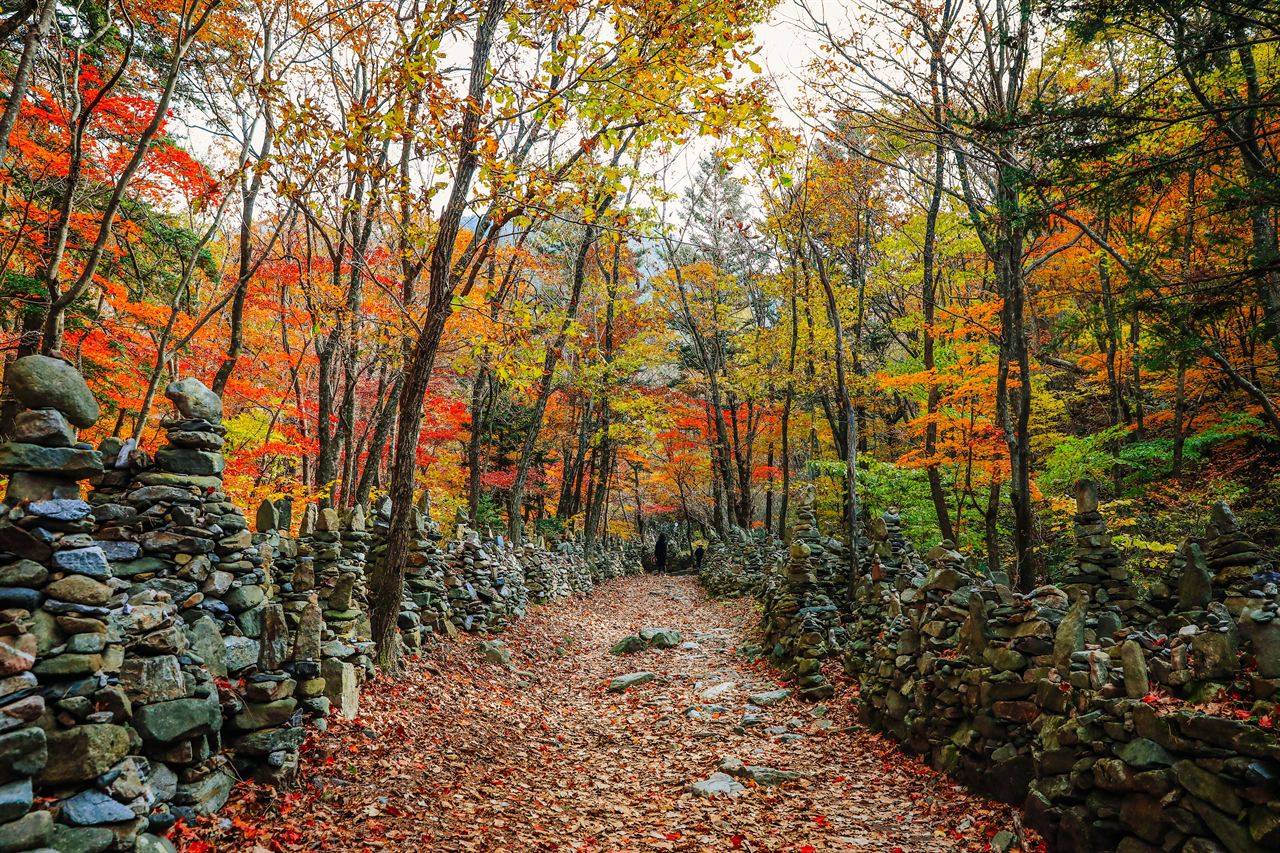노추산