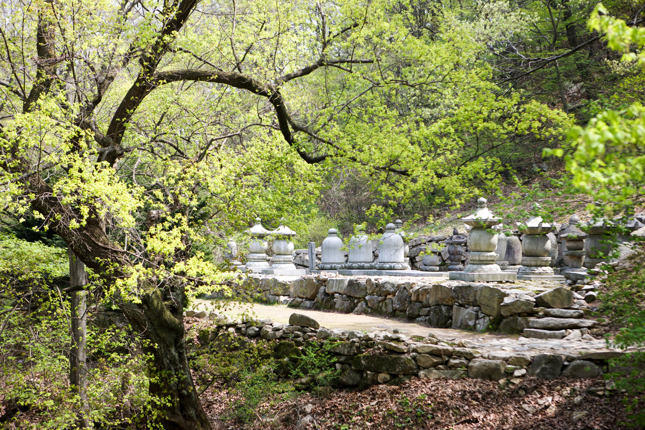 동학사