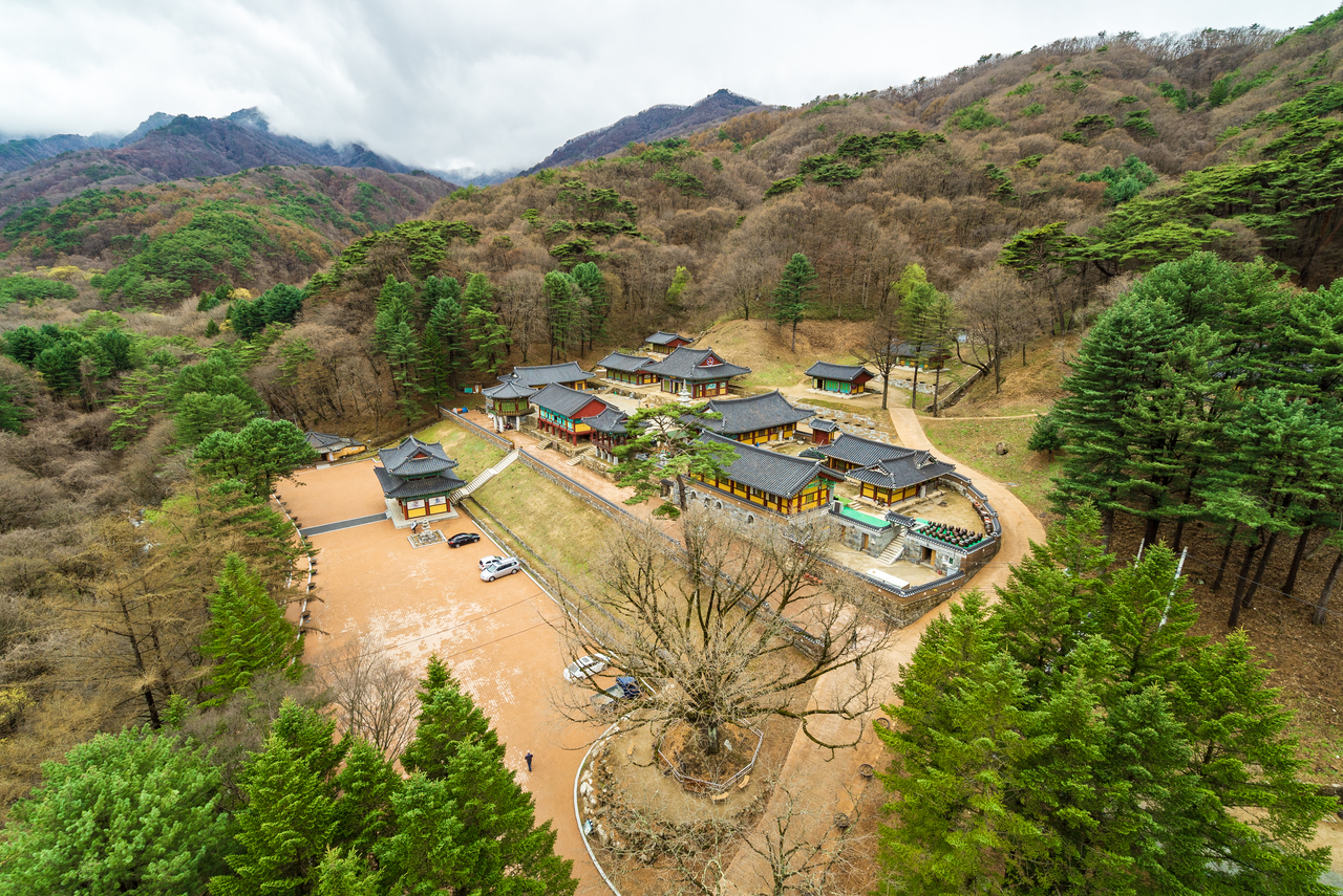 치악산 사진 3
