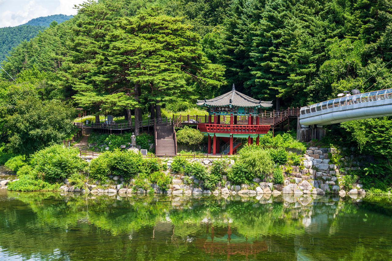 아우라지 관광사진
