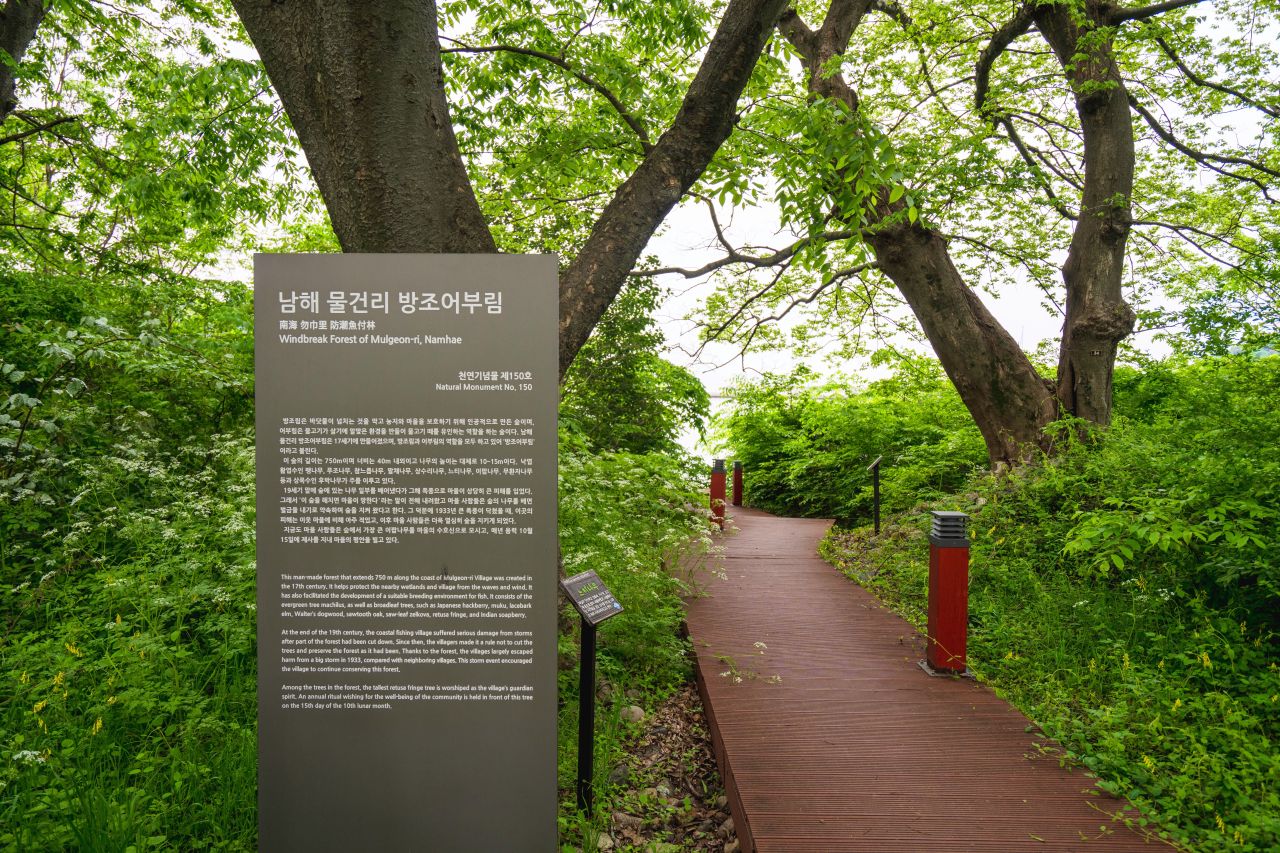남해 물건리 방조어부림